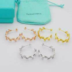 Picture for category Tiffany Earring